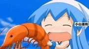 这是黄金虾吗？乌贼娘吃下去既然变得这么大。