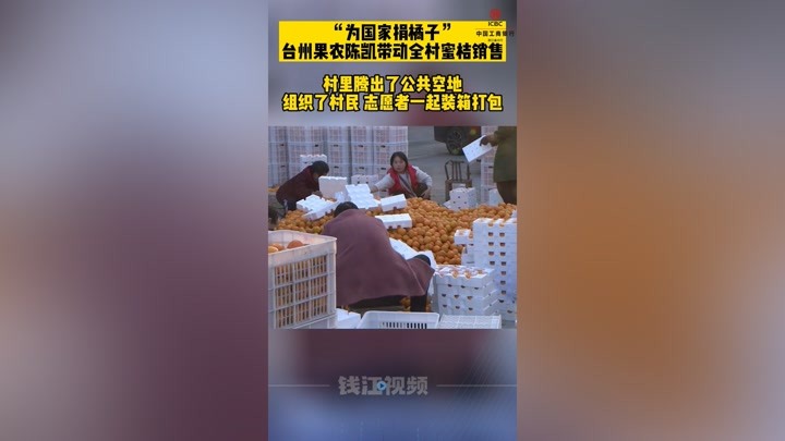 全村240万斤橘子被买空！“为国家捐橘子”台州果农带动全村销售