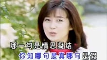 [图]雾里看花，孟庭苇，经典歌曲优美动听