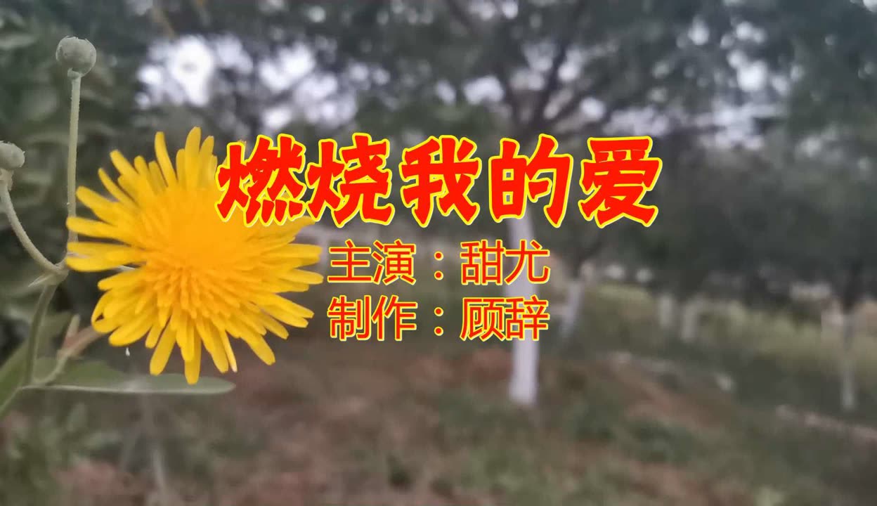 重现怀旧金曲《燃烧我的爱》首首动听,清脆好听