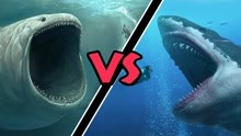 终极之战！巨齿鲨与bloop海怪对决，到底谁更胜一筹？