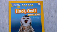 [图]美国国家地理 儿童分级阅读读物《hoot，owl》呼呼叫，猫头鹰