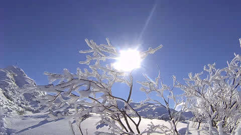 阳光照射在雪上实拍视频素材