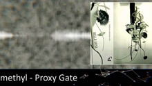2methyl - Proxy Gate