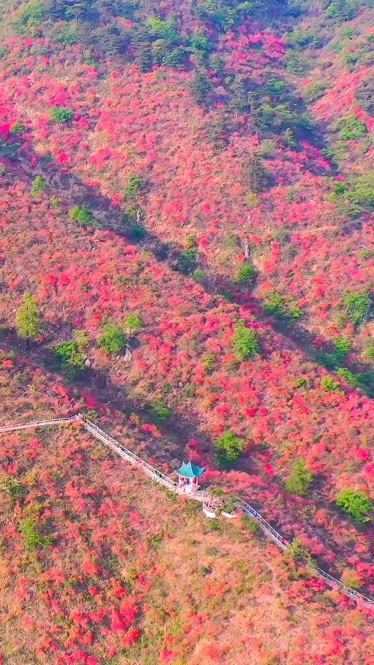 咸宁大幕山自驾游图片