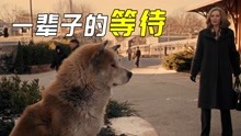 豆瓣116万人评出9.4分，一条小狗成东京地标，不看二遍的催泪电影