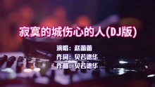 [图]赵蕾蕾《寂寞的城伤心的人》DJ版，唱得好过瘾，听得好带劲