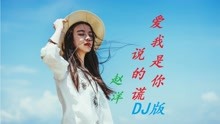 [图]赵洋《爱我是你说的谎》DJ版，动感十足，词曲伤感又醉人心扉！