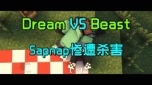 [图]Dream对战MrBeast01：Sapnap惨遭杀害！Dream开启复仇！