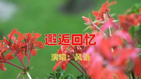 《邂逅回憶》風語