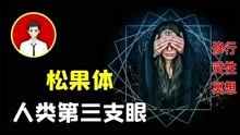 [图]「松果体」传说人类的第三只眼？亲身经历告诉你，这个器官不简单