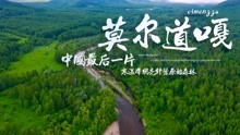 [图]【旅行微纪录】中国最后一片寒温带明亮针叶原始森林——莫尔道嘎