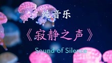 [图]纯音乐-Sound of Silence《寂静之声》