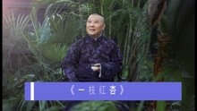 [图]郭德纲单口相声《一枝红杏》