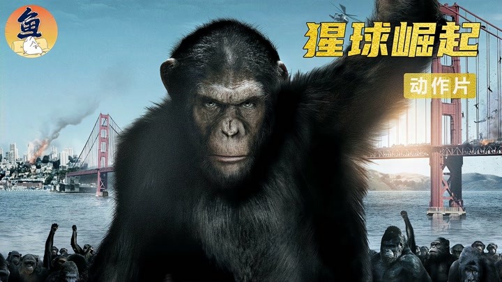 《猩球崛起》：这只猩猩口吐人言，竟把动物园管理员吓傻了