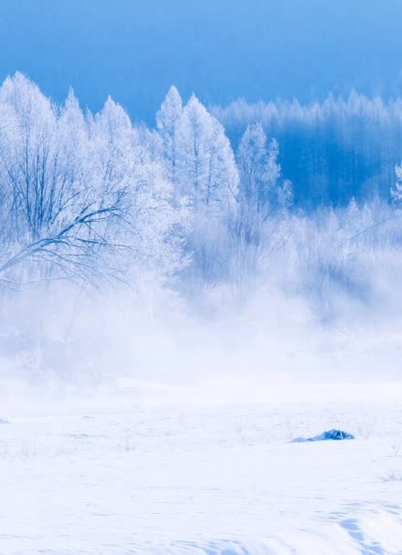 美丽的雪地