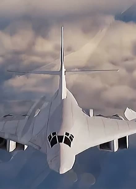 白天鹅轰炸机数量图片