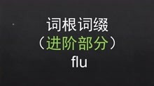 「进阶」27.flu 基础词根词缀