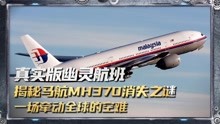 真实版幽灵航班，揭秘马航MH370消失之谜，一场牵动全球的空难