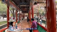 [图]昨夜梦里又为你流泪（3D环绕版）- 李英