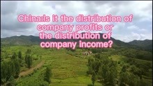 China：Is it the distribution of company profits or
