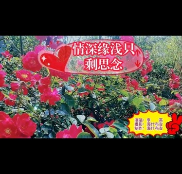 2022傷感情歌:情深緣淺只剩思念,月亮帶走了對你的愛戀-音樂-背景音樂