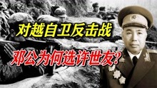 1979年，邓公为何选许世友挂帅出征，而不选刘伯承、粟裕？