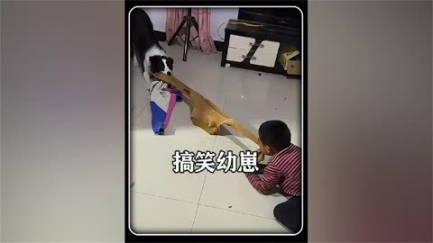 盤點人類幼崽的搞笑瞬間#人類幼崽 #看一遍笑一遍 #搞笑視頻