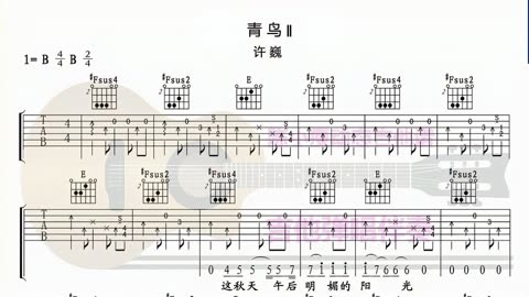 青鸟吉他谱简谱图片