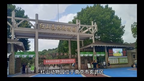 红山森林动物园门口图片