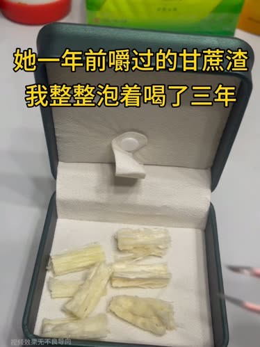 甘蔗渣栽花图片