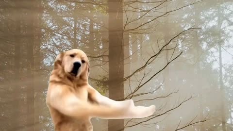 蹦迪狗跳舞表情包图片