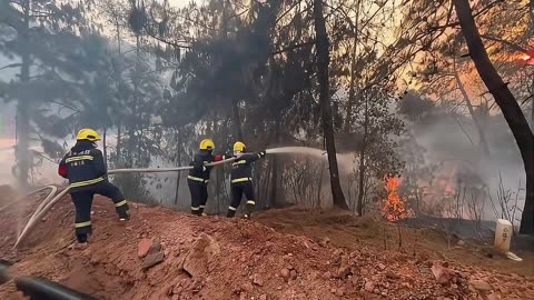 台山汶村山火图片