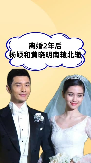 杨颖和黄晓明婚变原因图片