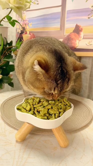 猫薄荷饼干图片