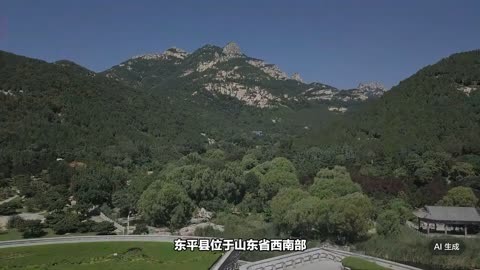 东平县属于哪里图片