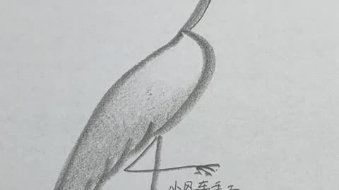 白鹤简笔画简单图片