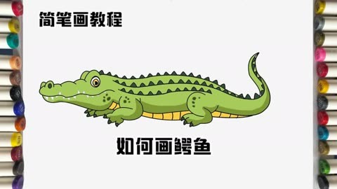 鳄鱼最简单的画法图片