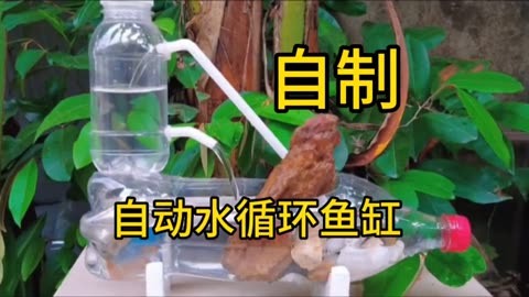 矿泉水瓶做鱼缸水循环图片