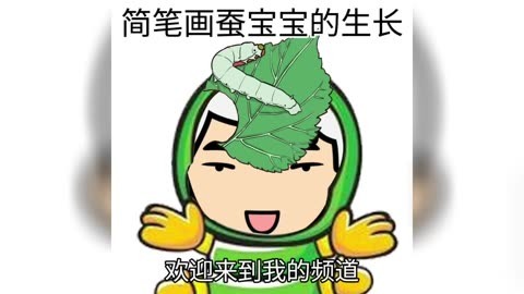 画蚕宝宝的生长