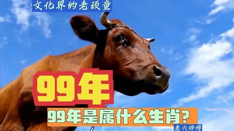 99年属于什么生肖年图片